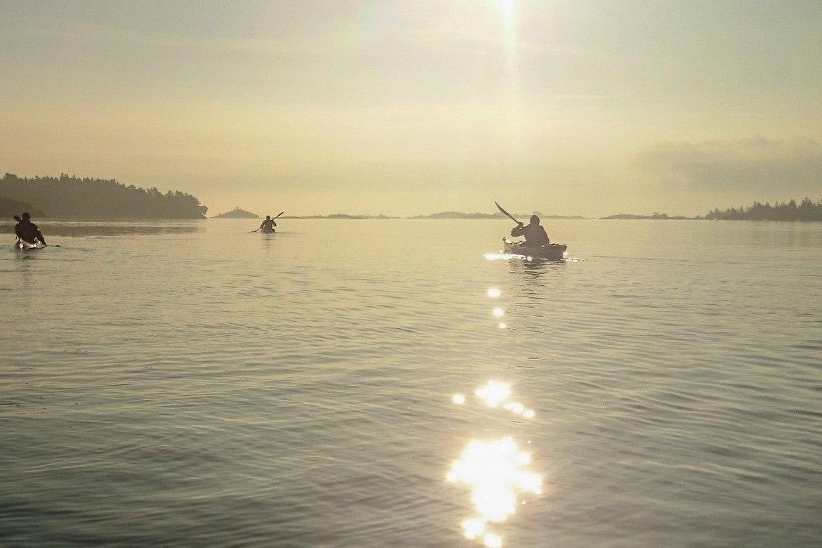 Guided Evening Tour in Sea Kayaks, Turku Archipelago